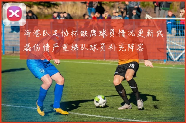 海港队足协杯缺席球员情况更新武磊伤情严重梯队球员补充阵容