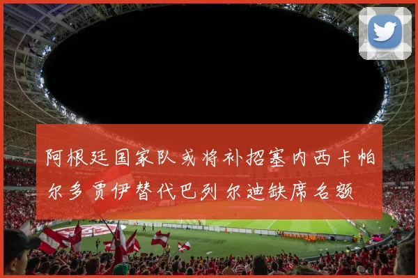 阿根廷国家队或将补招塞内西卡帕尔多贾伊替代巴列尔迪缺席名额
