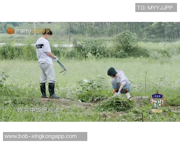 迪文解析小香农优势在于成熟心智应对挑战与压力