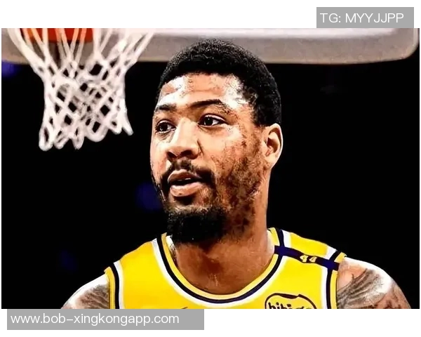 斯玛特谈湖人战袍压力:对手总是全力以赴迎战我们